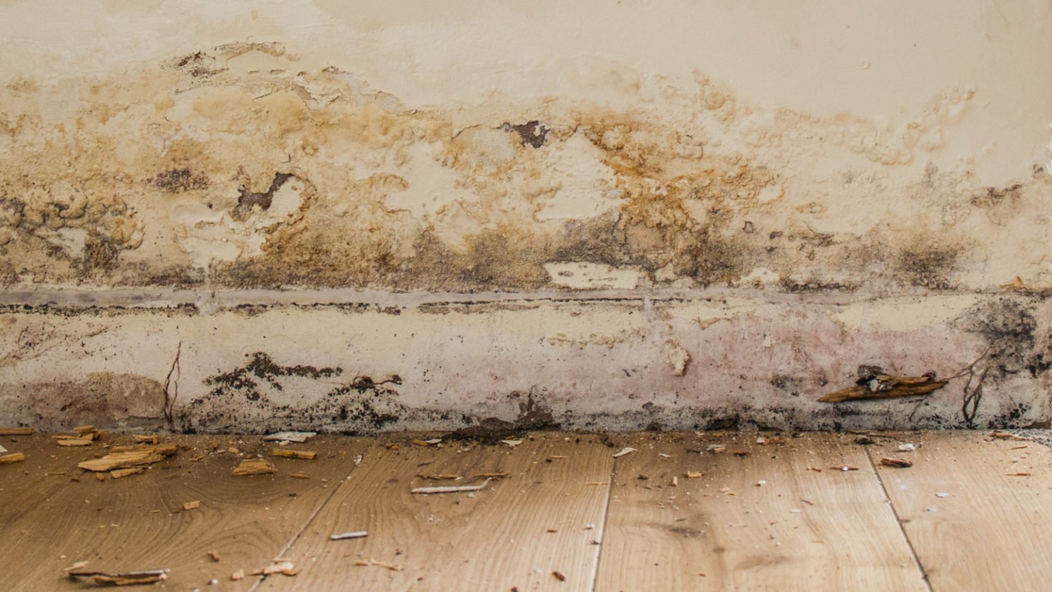 What Is Rising Damp And How To Treat It The Damp Store
