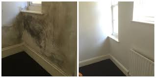 Before and After Black Mould