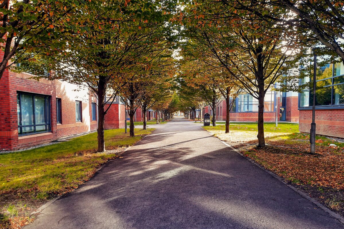 streets in county kildare, ireland