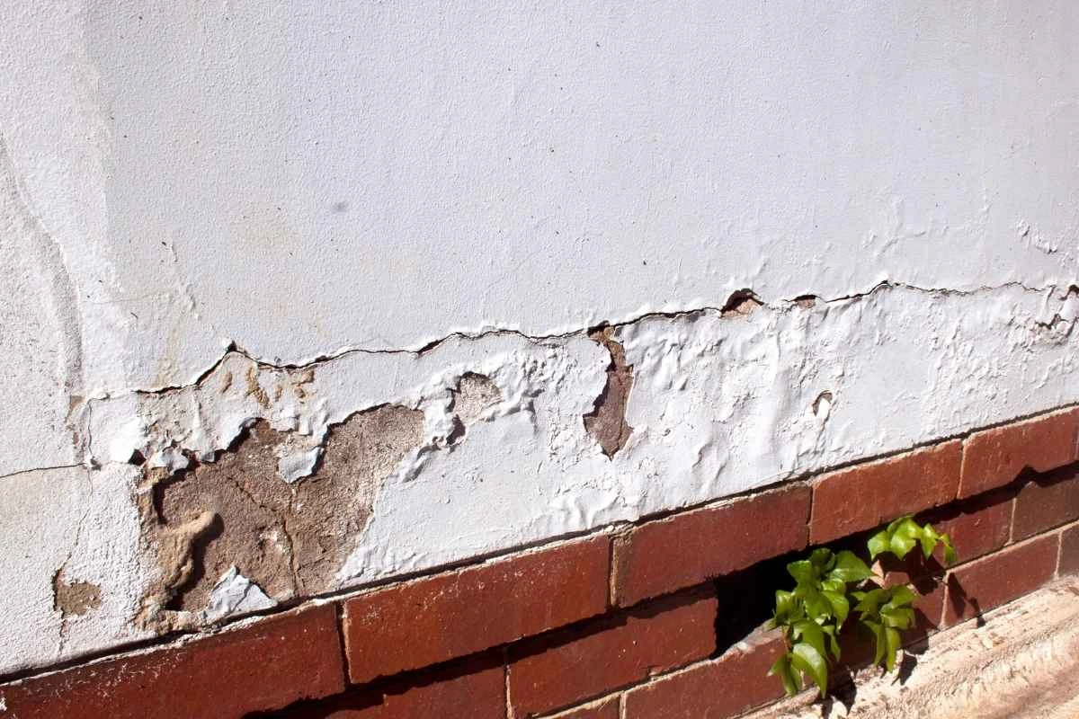 The Paint is cracking on walls