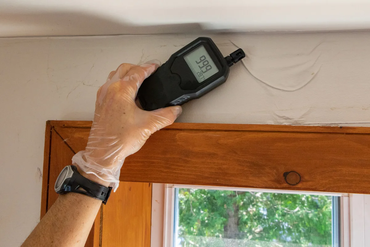 A person measuring moisture in the walls