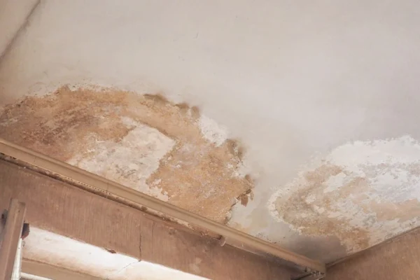 Damp Marks on the Ceiling and the paints are chipping