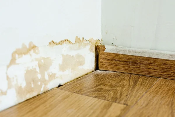 Damp walls near the flooring
