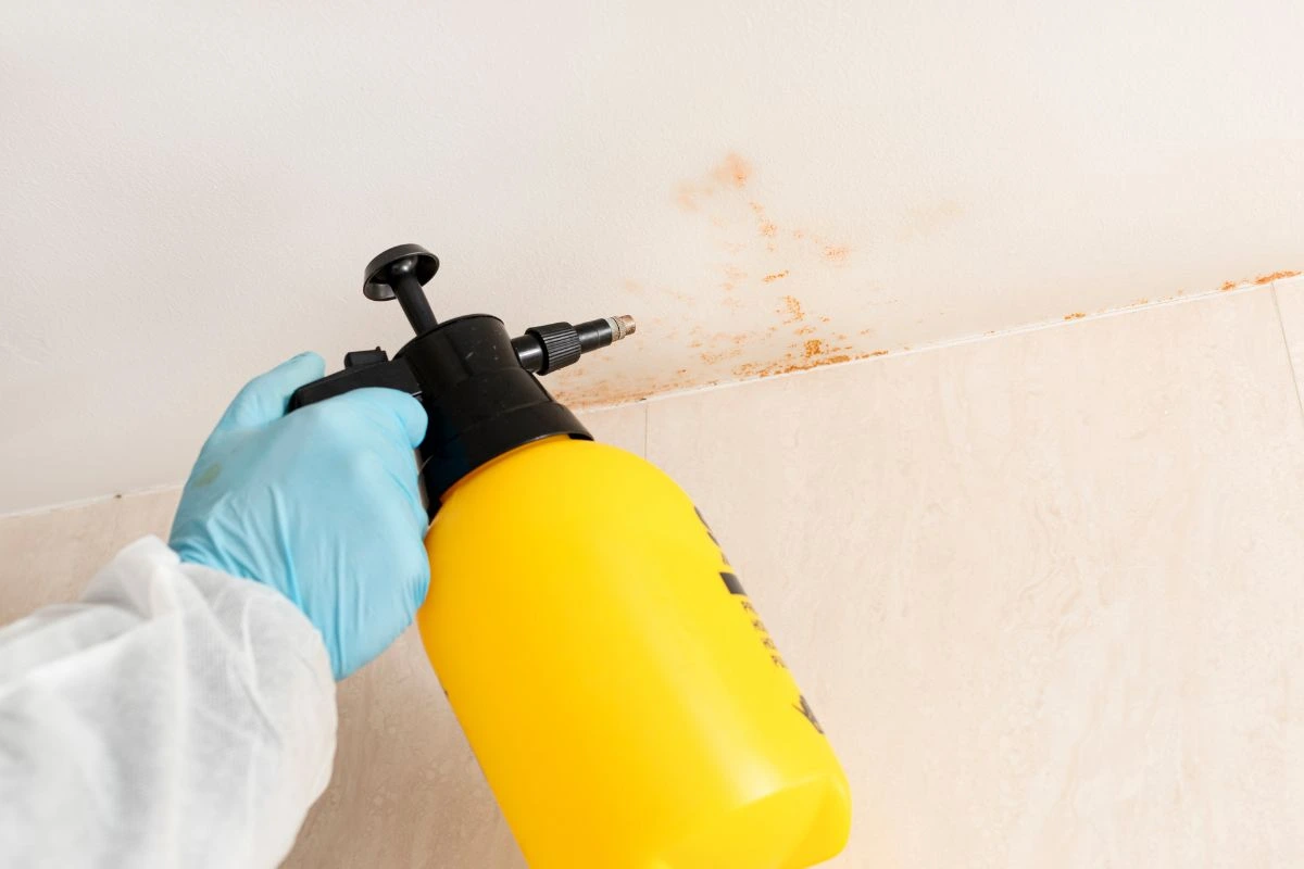 A worker in a protective suit and blue gloves uses a yellow pump sprayer to treat reddish mold on a white ceiling.